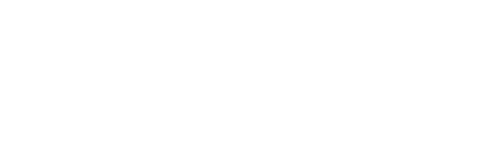 Shipeedy